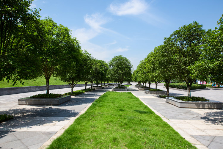 A beautiful green park